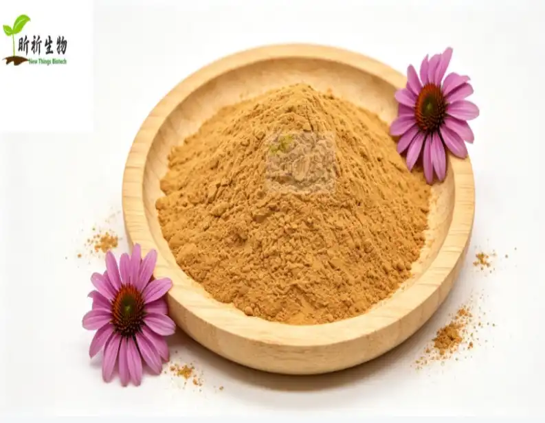 Echinacea Extract Powder Bulk